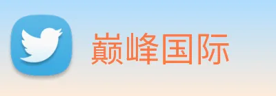 巅峰国际 logo